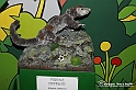 VBS_7200 - Mondo Babonzo